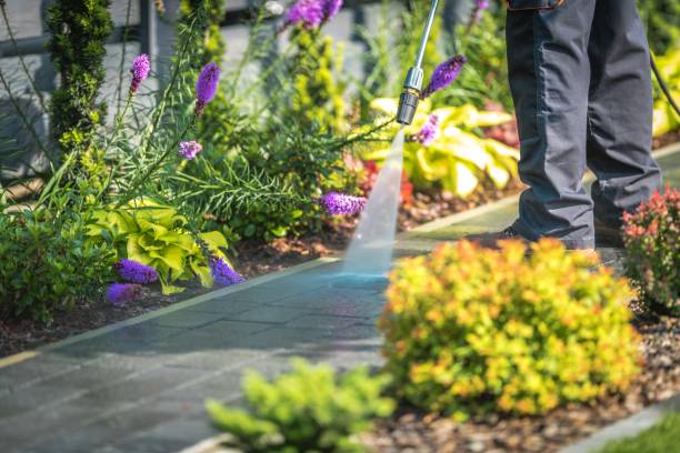 Best Winterizing Services  in Stevenson Ranch, CA